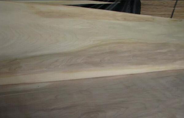 Natural Rotary Cut Birch cutting wood veneer A Grade For Furniture