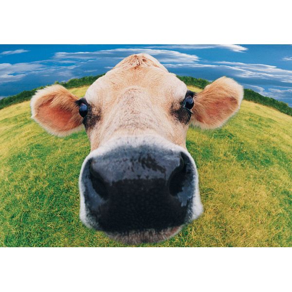 37mm 0.42X Cell Phone Fisheye Lens Attached Lens Aluminum Alloy Optical Lens