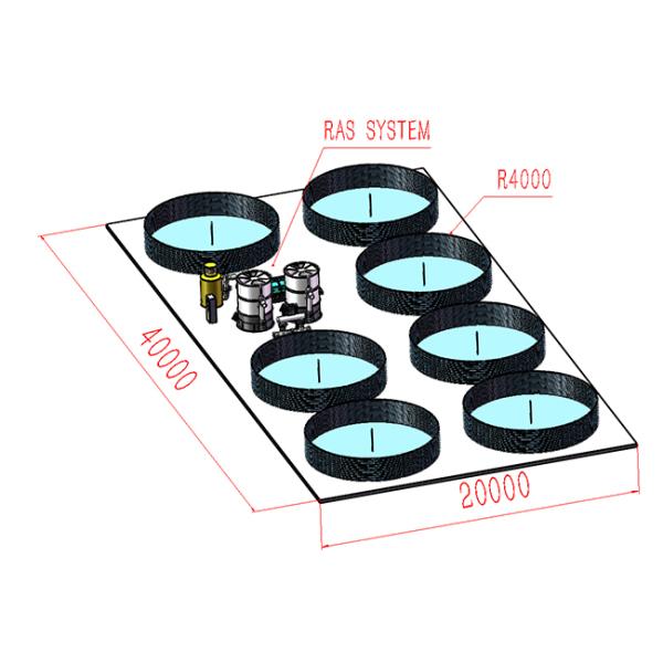 PVC Tarpaulin Ras Recirculating Aquaculture System With Automatic Feeding