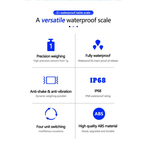 Battery 6V/5Ah 30KG Waterproof Scale with Double Layer Structure and Precision Sensor