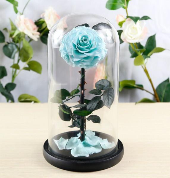 Hot sale Natural Fresh flower rose in big long glass dome Home Decoration and Christmas gift