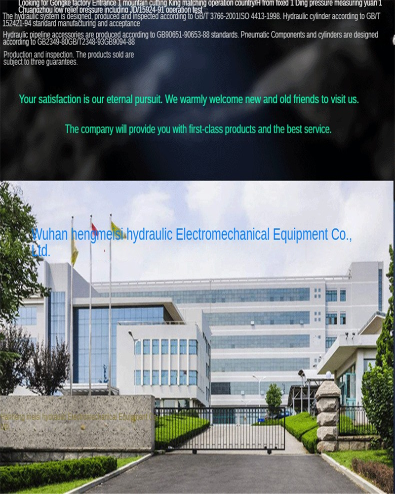 Parker Plunger Pump P14P3L1C8A2B03 P14P3L1C8A2B04 P14P3L1C8A4A00 P14P3L1C8A4A01 P14P3L1C8A4A03 P14P3L1C8A4B00 P14P3L1C8C2B00