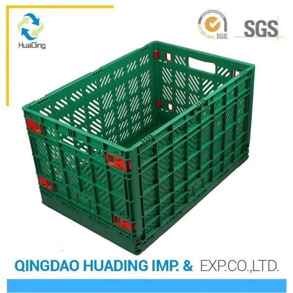 HDPE or PP Material Disposable Plastic Food Container for Fruit and Vegetable Storage