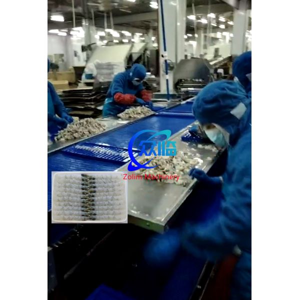 High Quality And Cheap Automatic Tempura Machine With Shrimp Stretching Machine