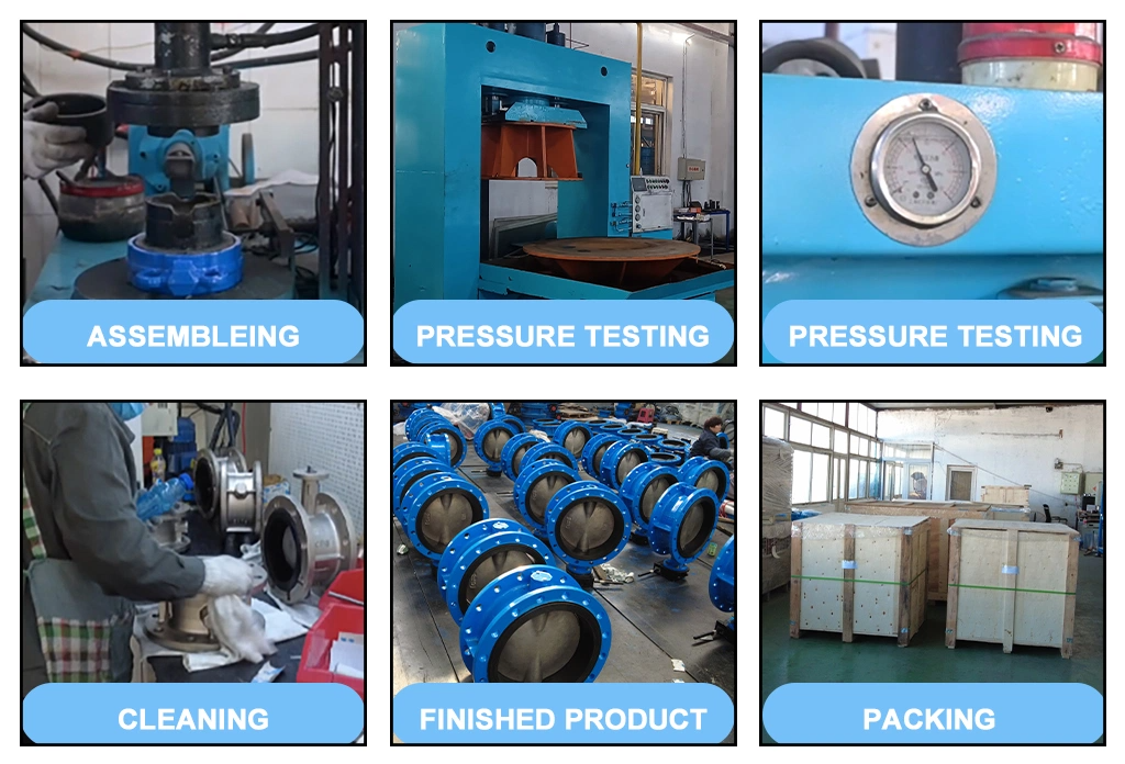 Пробный клапан для газовых носителей из нержавеющей стали/литого железа/литой стали с двойной пластиной