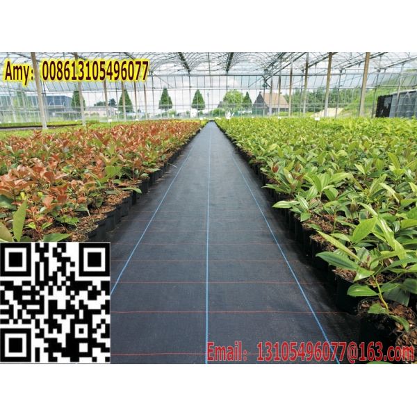 2016 playground pp ground cover /needle gardening cloth black plastic weed barrier/weedmat