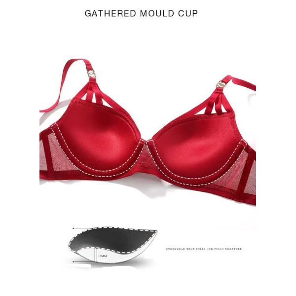 Сексуальные дамы бюстгальтера и Panty цепляют бюстгальтер шнурка собранных женщин и набор Panty