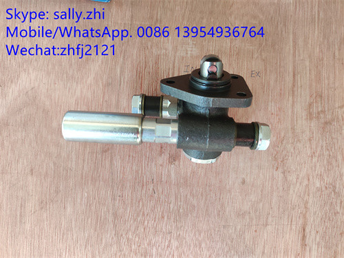 SDLG Hand pump 4110000991053 /1000428779 for Weichai Deutz TD226B WP6G125E22, weichai engine parts for sale