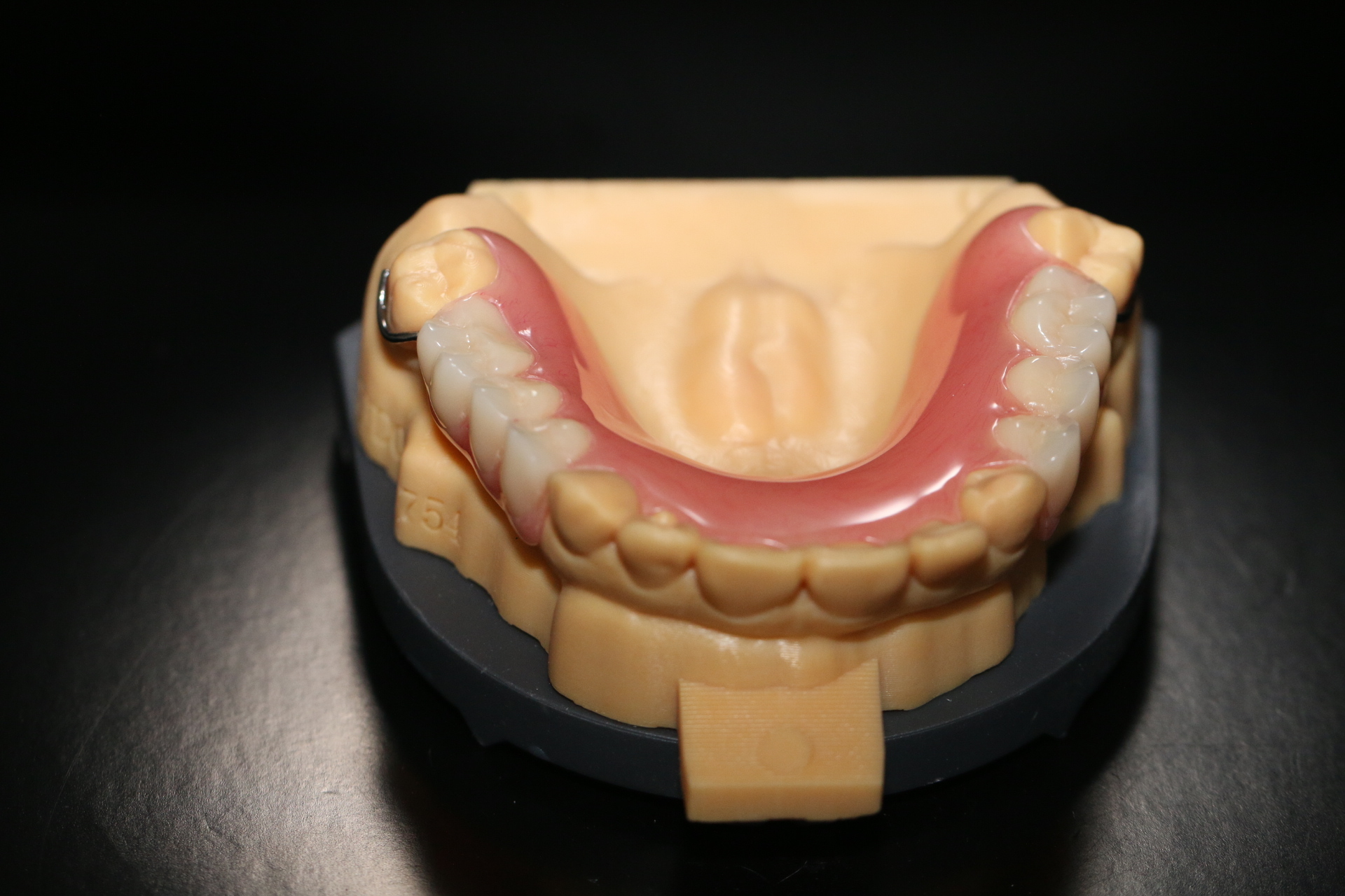 Heat Curing Acrylic Dentures Lucitone 199 Impact Resistant