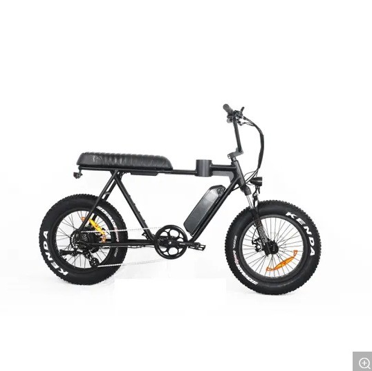 Magnesium Alloy Frame 2020 20 Inch Fat Tire Electric Bike Snow Beach Cruiser EL-DN2011Z