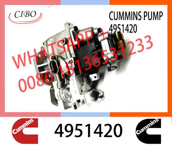 Pièces de moteur diesel Cummins NT855 KTA19 PT Ensemble de pompe d'injection de carburant diesel 4951427 4951426 4951420 4951424