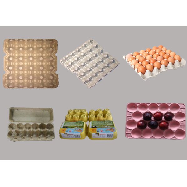 3000 Пкс/Х завертывают поднос в бумагу яйца делая машину/автоматическое машинное оборудование подноса яйца