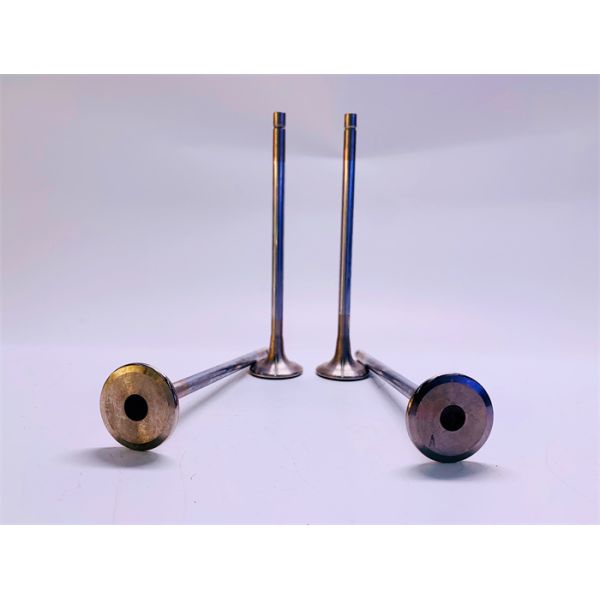 4926069 3417779 Diesel Engine Valve Intake And Exhaust For Cummins QSM11