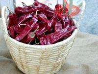 Yidu secou o Chile vermelho salpica vagens do condimento 9CM o Chile do alimento para Pozole
