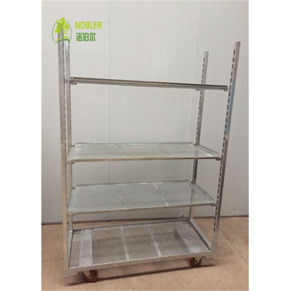 Датская вагонетка ТК0131 включает крен в набор отложенных изменений садовнического цветка участка стальной