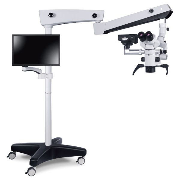 Professionnel universel du microscope 1.5A chirurgical dentaire Endodontic