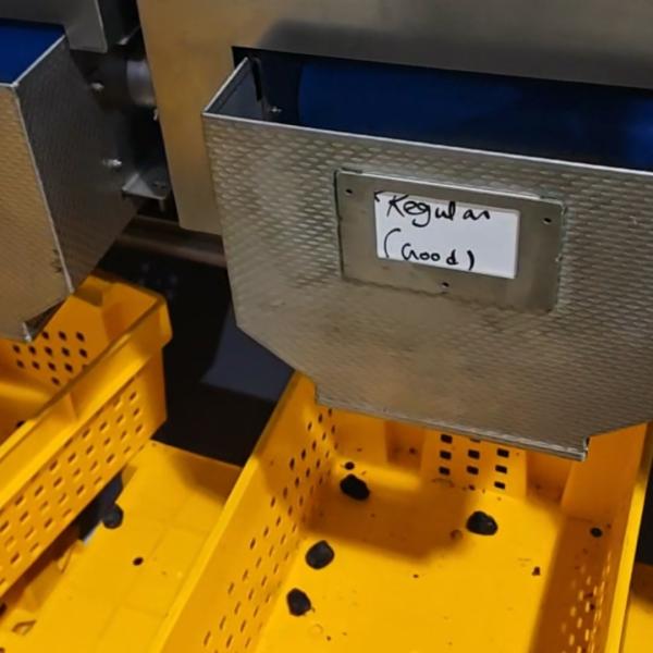 High-capacity Dates Sorting Machine, Advanced Computer Control, 304 Stainless Steel, 2.4 Tons per hour, High-performance
