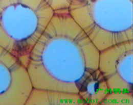 40X ~1000X Biological microscope for laboratory in LED light source