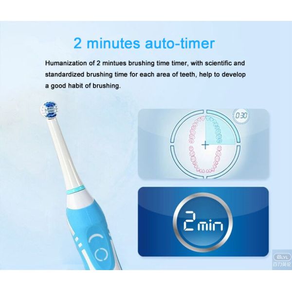 IPX7 Waterproof 110v-220v Rechargeable Rotation Type Electric Toothbrush Charging Teeth Tooth Brush for Kid Adult