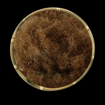 Dope Dyed Hollow Regenerated Polyester Staple Fiber 3D×51mm For Non Woven Fabric