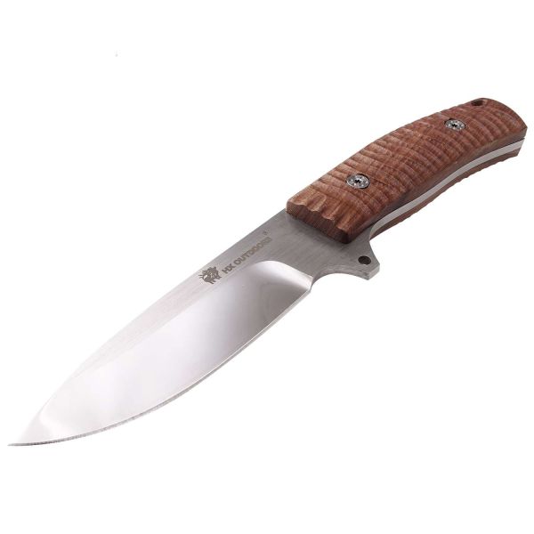 Lizard Gadder Vehicle Camping Save Oneself Explore Hunting