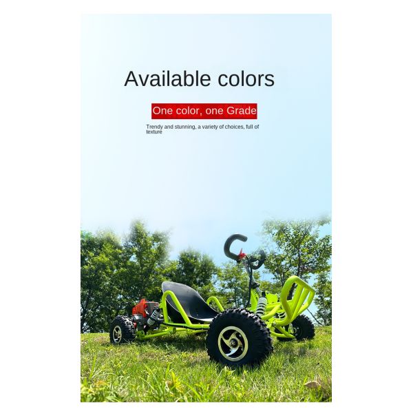 GO-Karts Adult off-road kart, fuel kart，Kincardine car support OEM