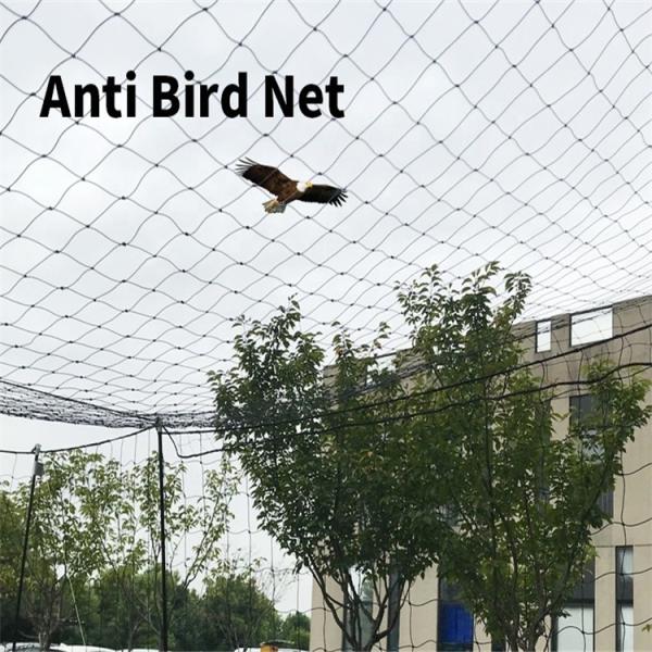 Anti-bird Netting Mesh for Chicken in Garden Orchard Vineyard BOP PP Plastic 2cm Mesh