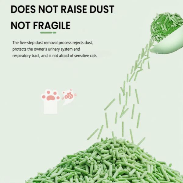 Déodorant pour le thé vert, poudre libre de la litière de chat, bande de tofu de la litière de chat