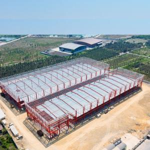 Steel Structure Building