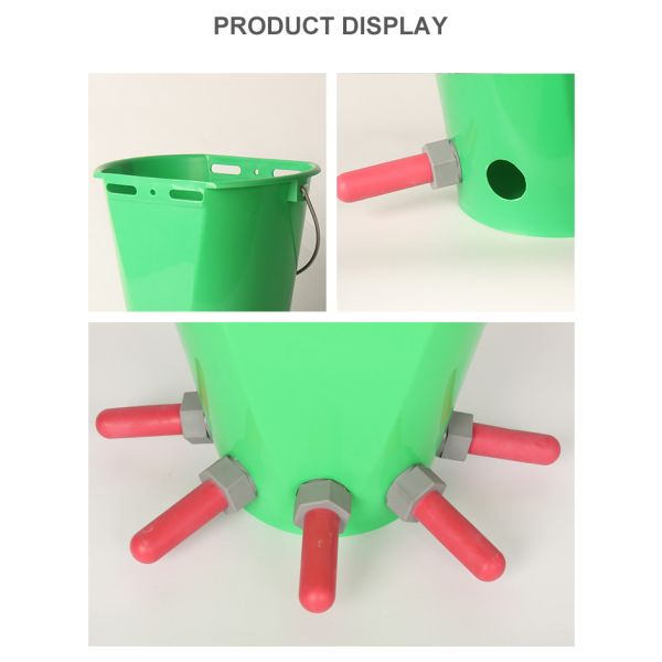 Dairy Farming 8L Plastic Calf Care Pail with 5 Teats for Milk Feeding