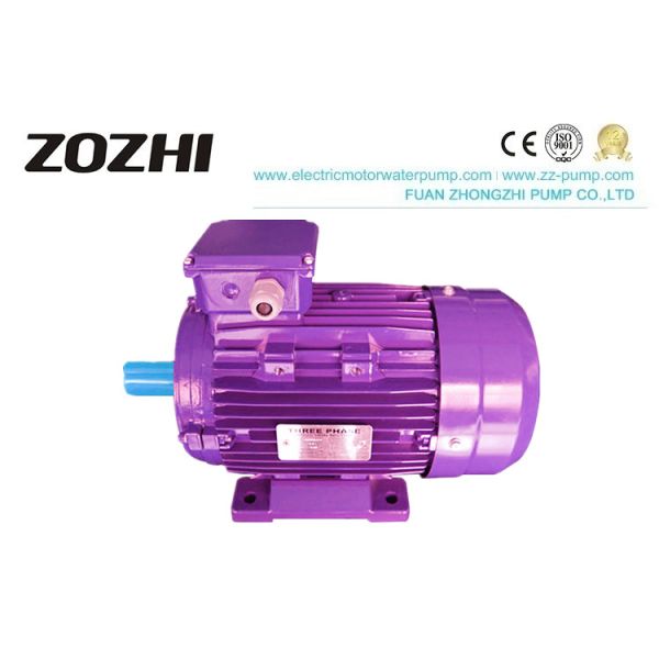 380V 3 Phase Induction Motor IEC Standard Power Supply Type Low Noise / Vibration