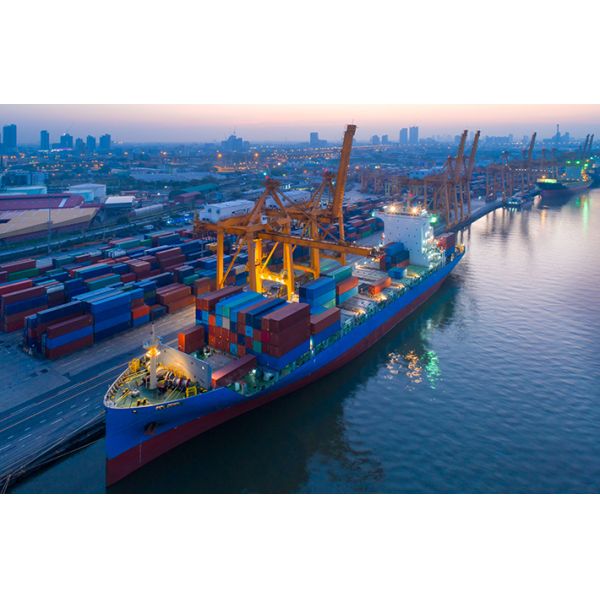 FCL LCL International Ocean Freight Shipping Bulk Cargo Preferred