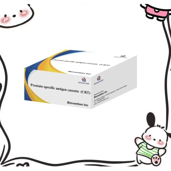 Rapid Diagnostic Testing System CRT Rapid test Medical diagnostic reagent Self-Use Accurate Result