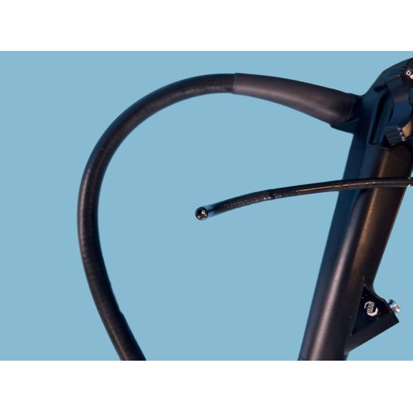 EG-590ZW Medical Endoscope Gastroscope 135x Magnification For Accurate Diagnosis