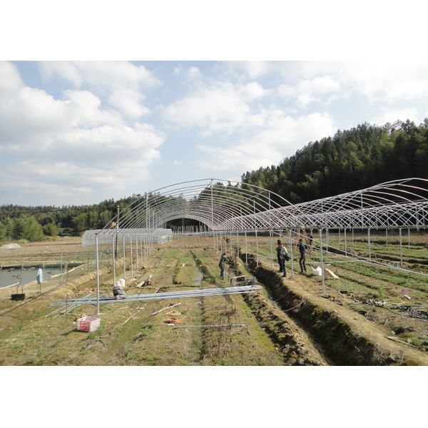 Durable Heavy Duty Commercial Greenhouse Woven Weather Resistant