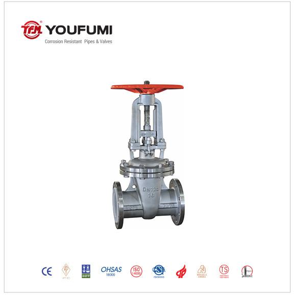 CF8M PTFE Lined Gate Valve