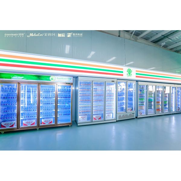 Two Glass Doors Economical Drinks Alcoholic Beverages Refrigerated Display Freezer