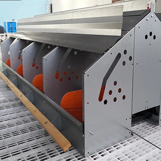 Система автоматизированная реактор-размножителом птицы бройлера питаться