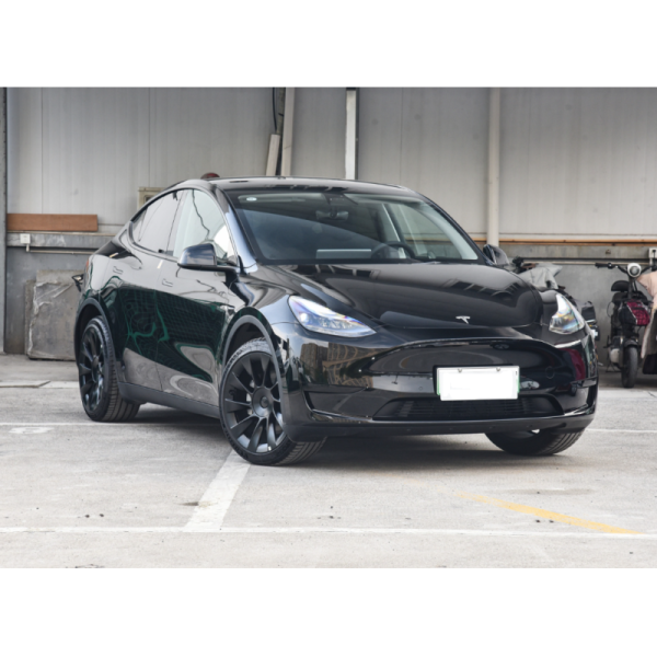 Tesla Model Y Electric Vehicle with 217km/h Top Speed and 100% Electric Energy Type