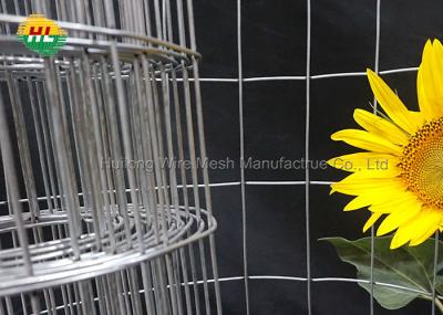 Quente-mergulhado galvanizou 2 X 4 o calibre 36inch x 50ft da malha 14 do retângulo soldou o fio Mesh Fence Rolls para o trabalho do ofício