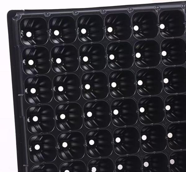 72 Cells 120G Thickness Nursery Plug Trays Black Plastic Pvc for Agriculture