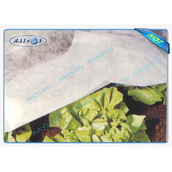 Белый Biodegradable Non сплетенный сертификат ткани OEKO TEX ландшафта