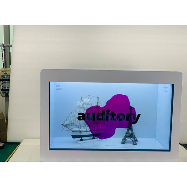 19in Transparent LCD Video Showcase 20W For Watch Stores