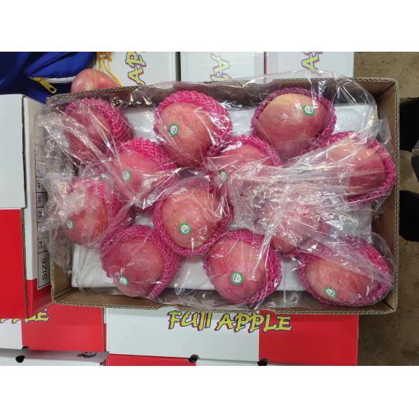 2024 Best Green Fuji Apples Fresh Product with 0.4kg Weight