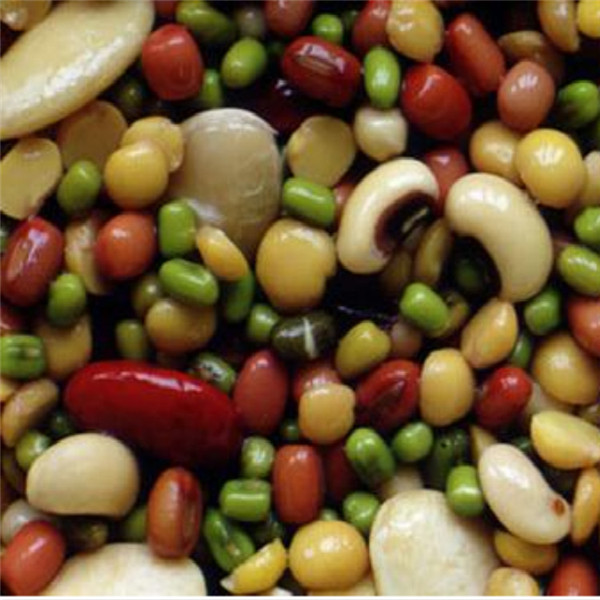 Аграрный сушильщик зерна серии 25m3 80HP 580L