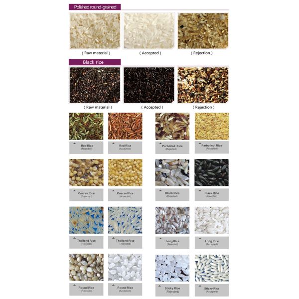 High Speed 5000 Pixels CCD Precision Color Sorter Machine For Basmati Rice