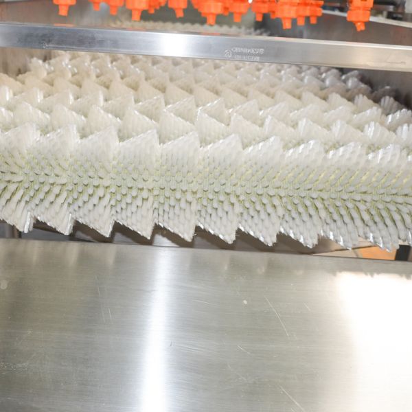 SUS304 Fruit Vegetable Washing Machine