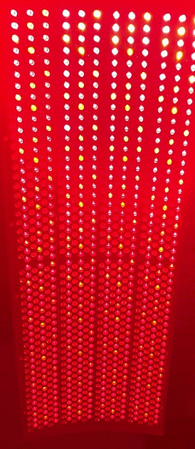 Длина волны инфракрасн 810nm прибора терапией красного света тела заботы кожи PDT полная