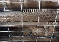Résistance à la corrosion super noeud de la clôture de treillis à cheval avec une excellente résistance aux intempéries et une bonne ventilation