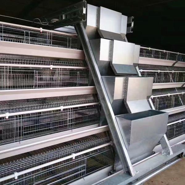 Manual 4 Níveis Pvc Sistema automático de alimentação de aves de capoeira SGS Cage de galinha de camada